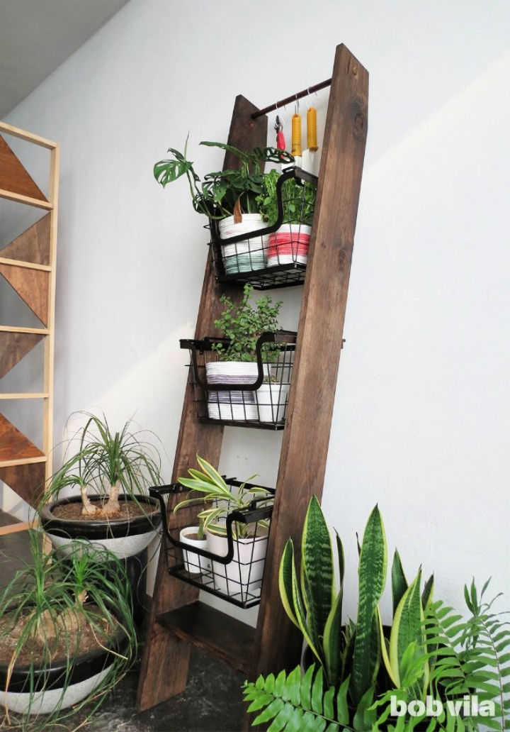 Beautiful Diy Ladder Plant Stand Ideas Suite