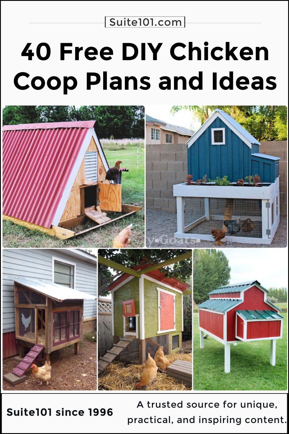 Free Diy Chicken Coop Plans And Ideas Suite