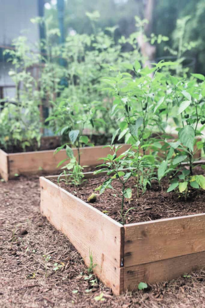 30-free-diy-raised-garden-bed-plans-pdf-instructions