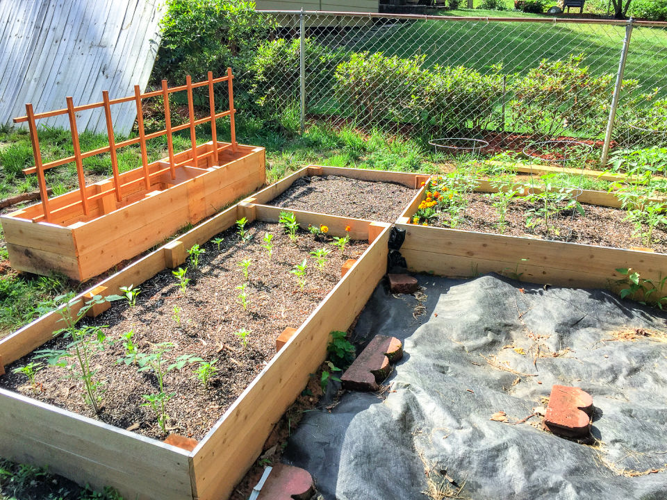 30 Free DIY Raised Garden Bed Plans (PDF Instructions)