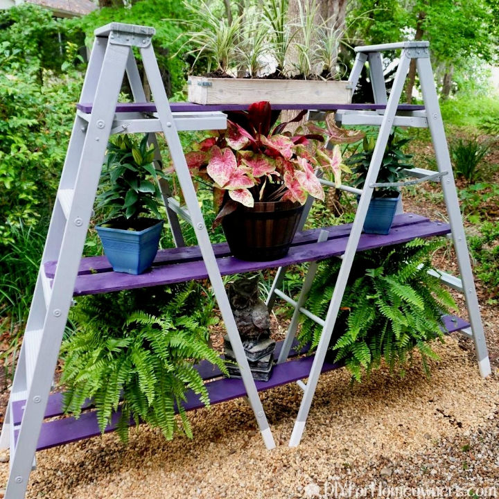 20 Beautiful Diy Ladder Plant Stand Ideas Suite 101