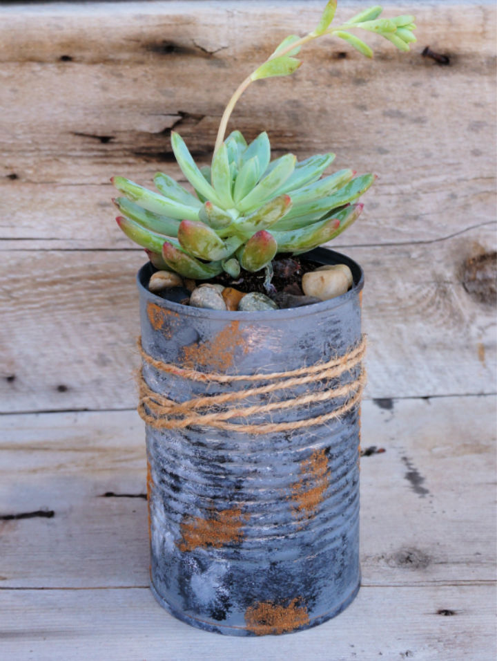 Image result for 20 DIY Upcycle Tin Can Planters - Suite 101