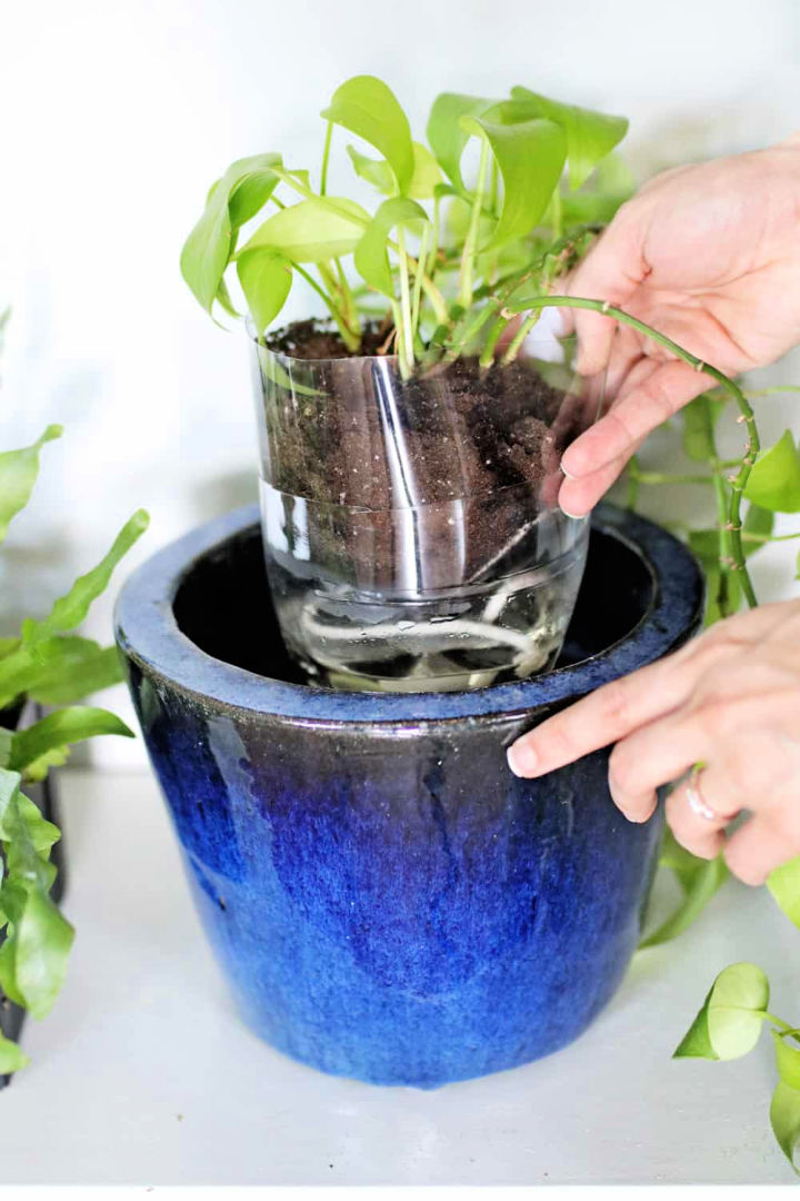 30 Homemade DIY Self Watering Planter Ideas Suite 101