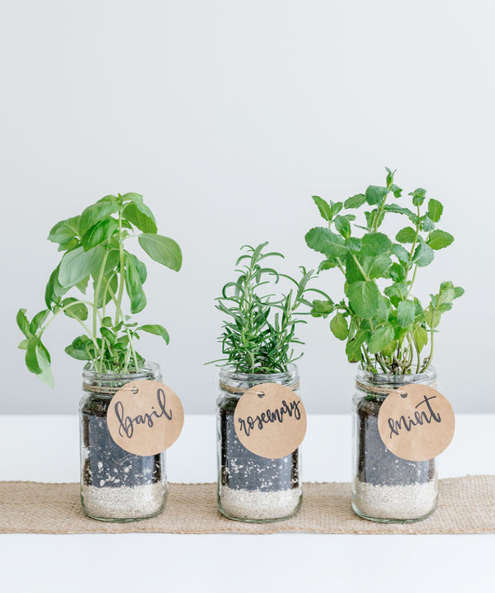 25 DIY Mason Jar Herb Garden Ideas Suite 101