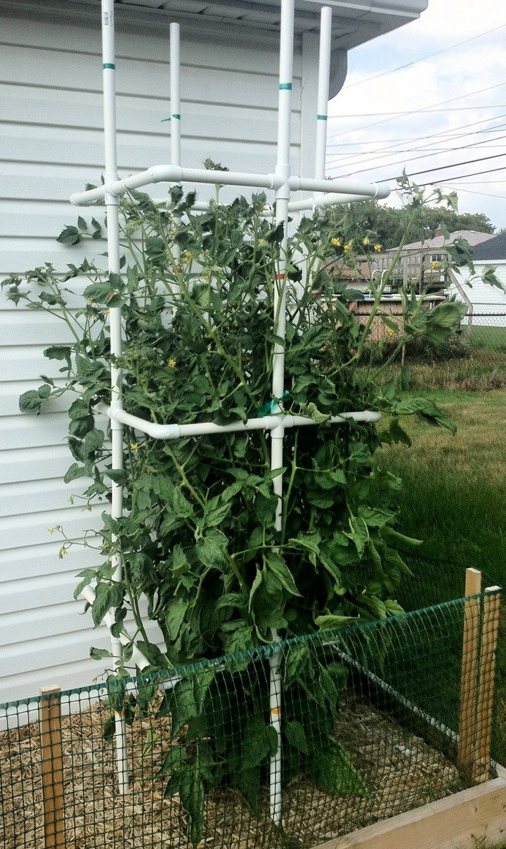 25 DIY PVC Pipe Garden Ideas - PVC Pipe Planters - Suite 101