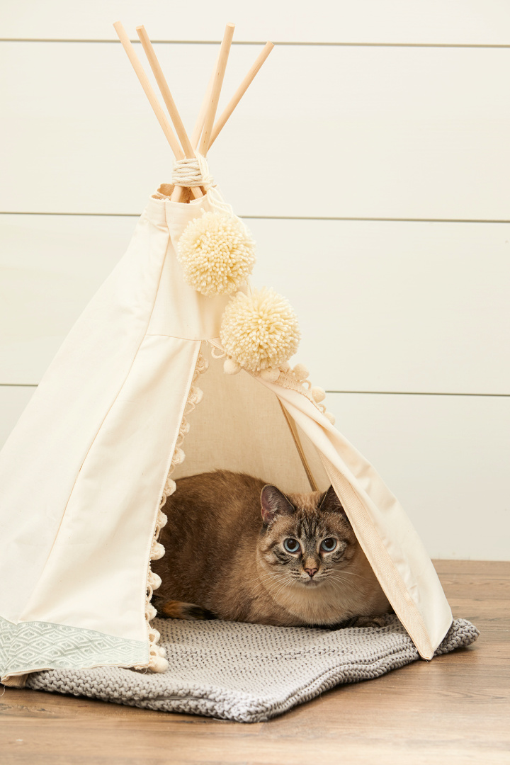 25 DIY Cat Bed Ideas You Can Make Suite 101