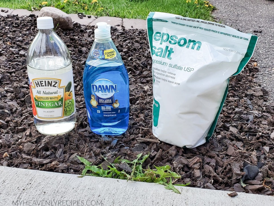 15 Homemade Weed Killer Recipes You Can DIY Suite 101