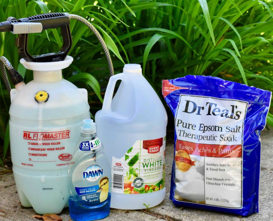 15 Homemade Weed Killer Recipes You Can Diy Suite 101