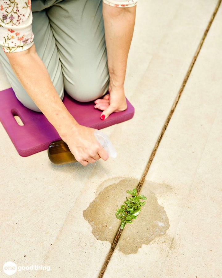 15 Homemade Weed Killer Recipes You Can DIY Suite 101