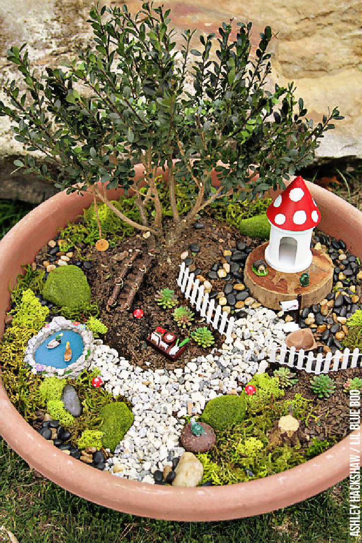 35 DIY Fairy Garden Ideas for Backyard - Suite 101