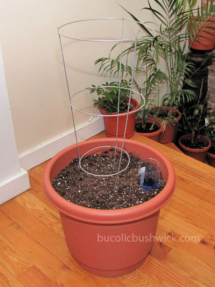 30 Homemade DIY Self Watering Planter Ideas Suite 101