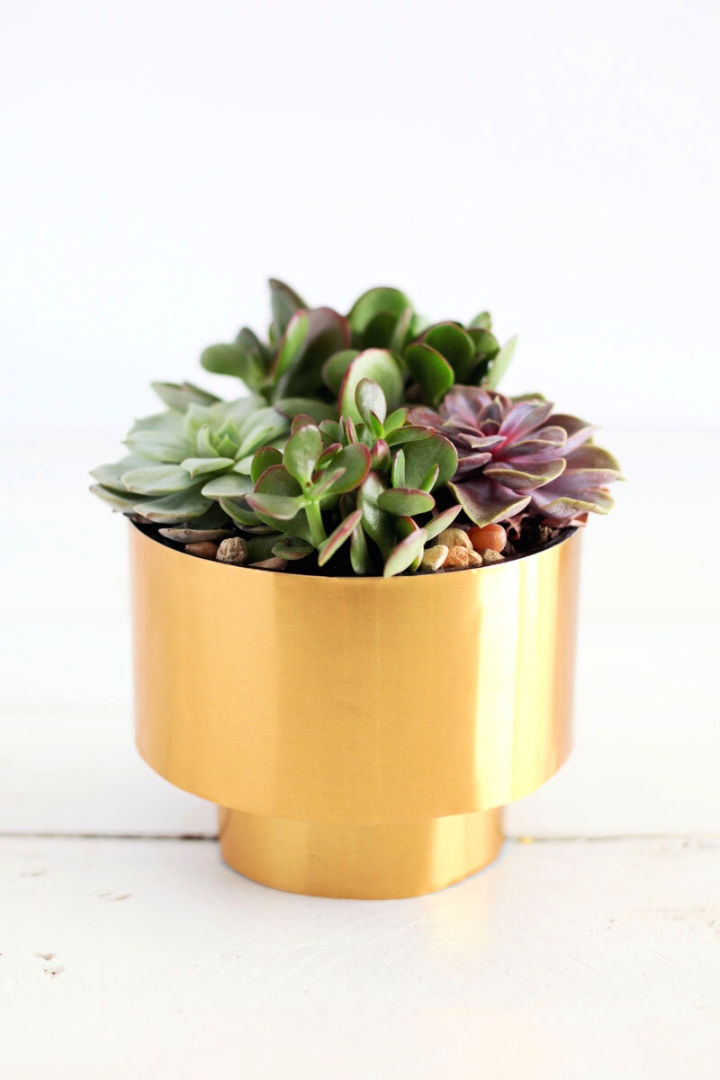 25 DIY Succulent Planter Ideas for Indoor and Outdoor