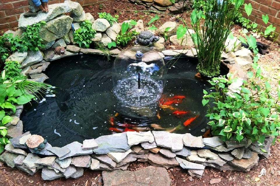 25 Homemade DIY Pond Ideas for Backyard & Garden - Suite 101