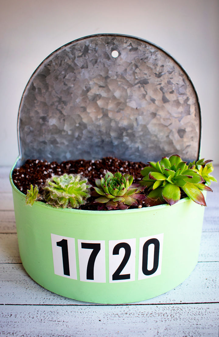 25 Diy Succulent Planter Ideas For Indoor And Outdoor 3703