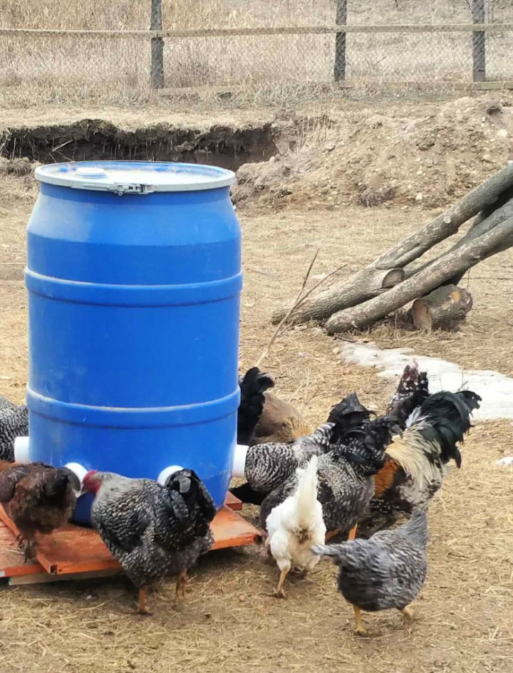 35 Homemade DIY Chicken Feeder Ideas - Suite 101