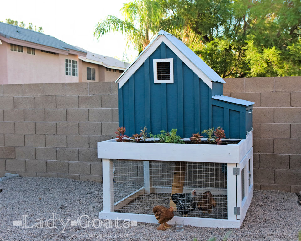 40 Free DIY Chicken Coop Plans and Ideas Suite 101