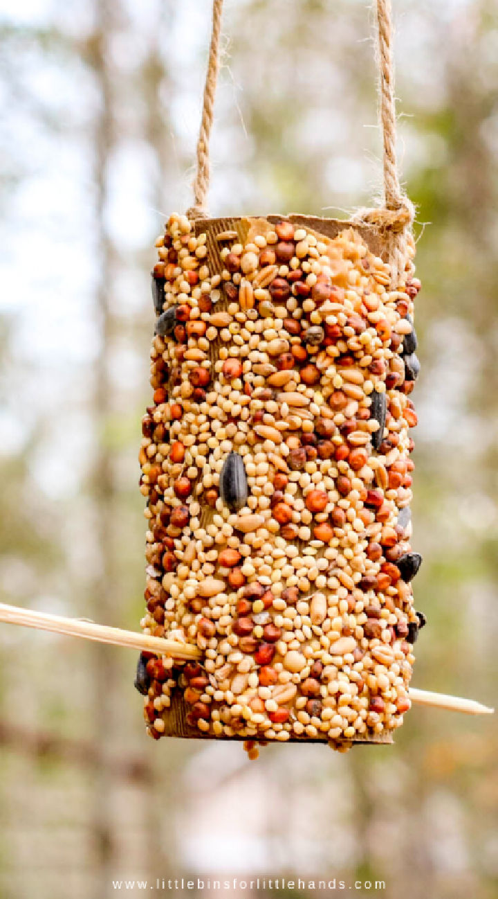 50 Homemade DIY Bird Feeder Ideas Suite 101