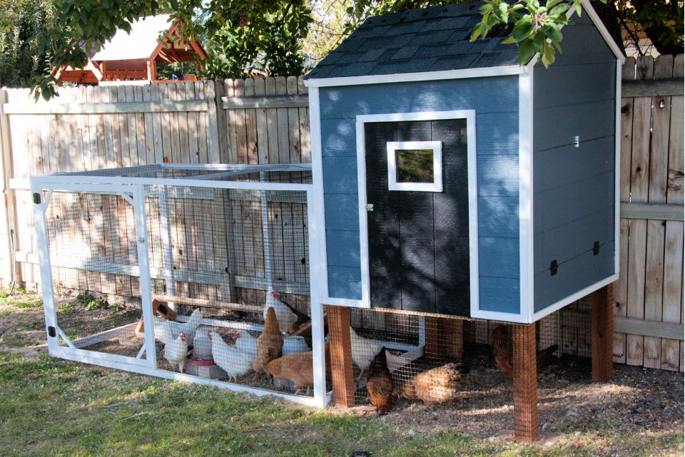 40 Free DIY Chicken Coop Plans and Ideas - Suite 101