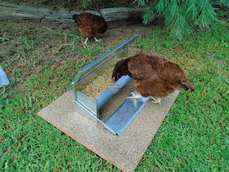 35 Homemade DIY Chicken Feeder Ideas - Suite 101