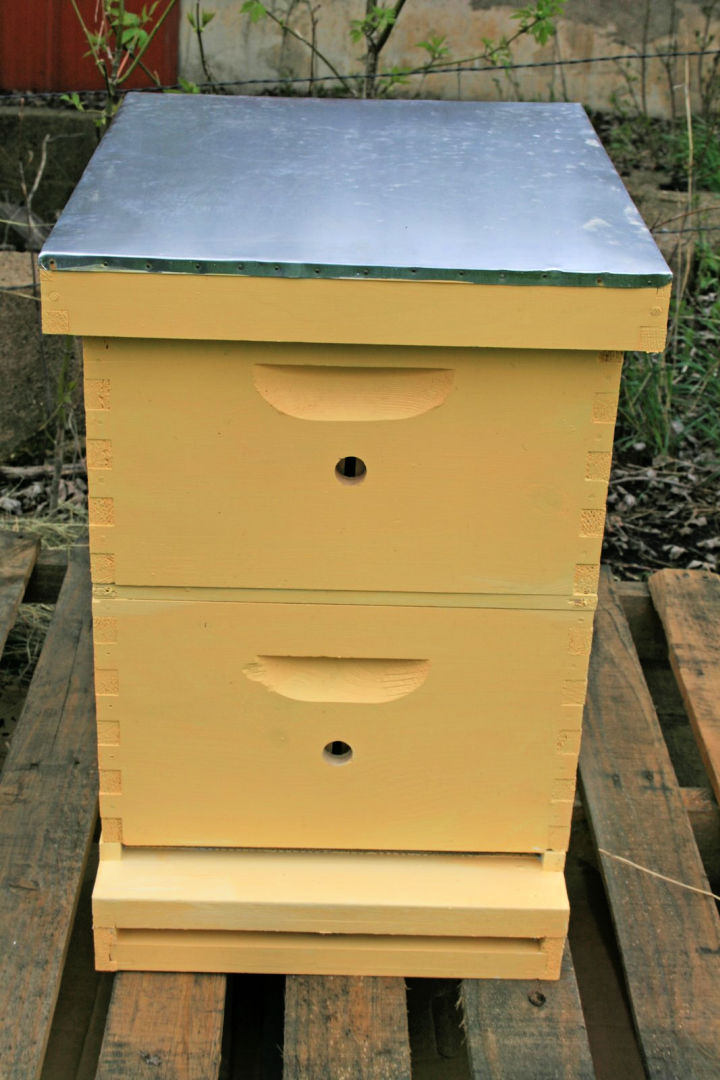 25 Free DIY Beehive Plans To Build Your Own Bee Box   How To Make A Bee Box 