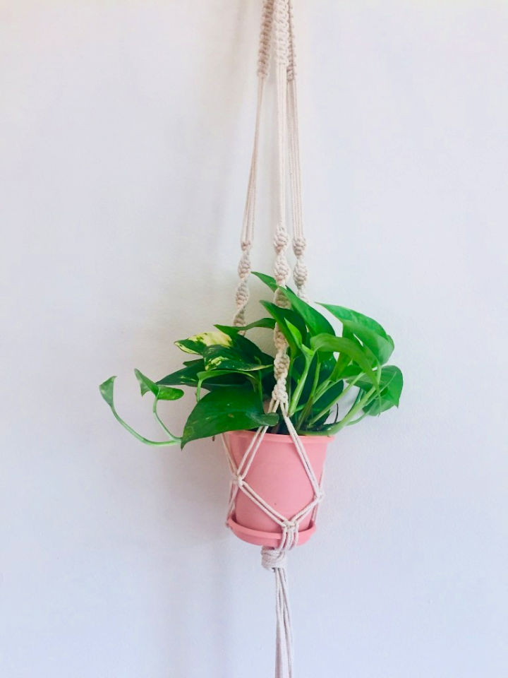 35 Easy DIY Macrame Plant Hanger Patterns to Make