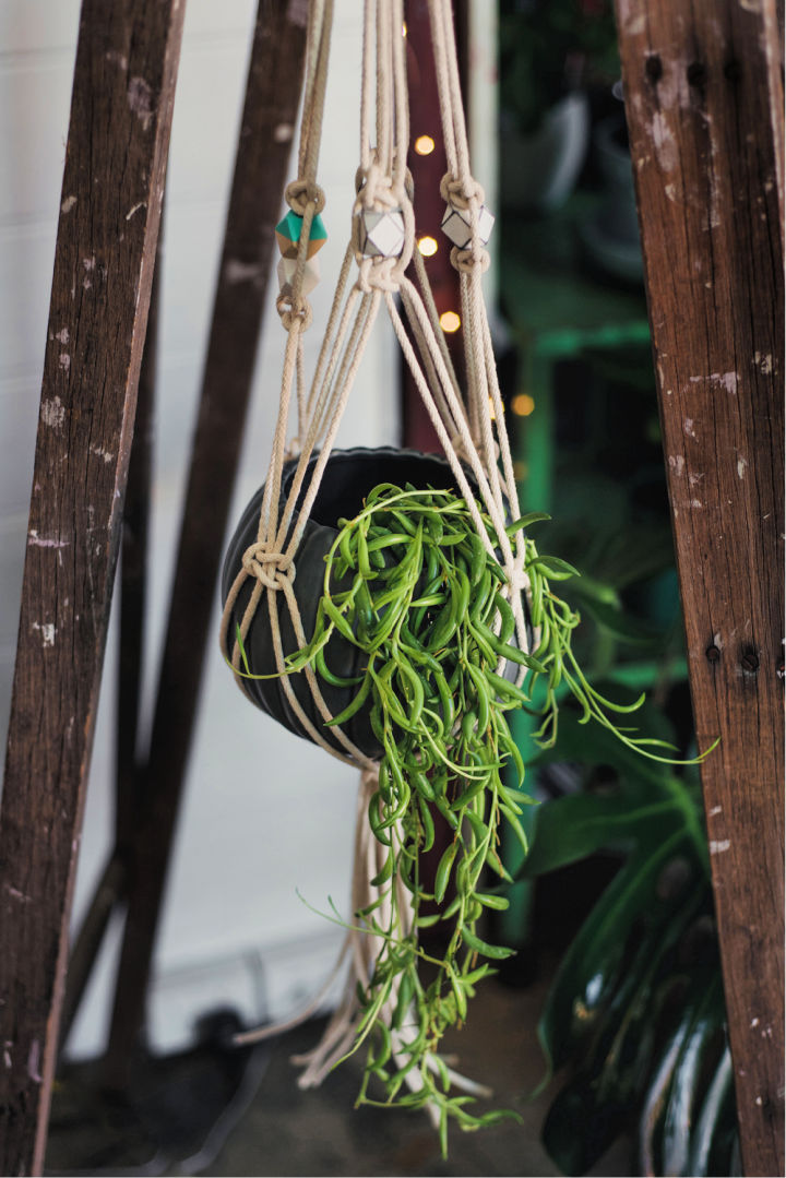 35 Easy DIY Macrame Plant Hanger Patterns to Make