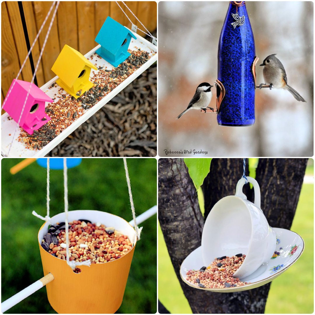 paper plate bird feeder