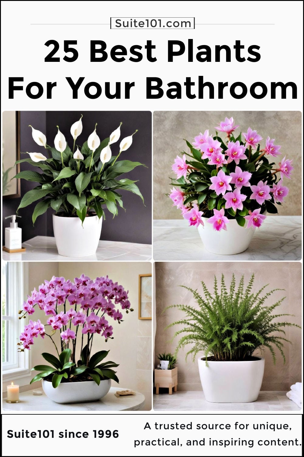 25 Best Plants for A Bathroom: Thrive in The Humidity