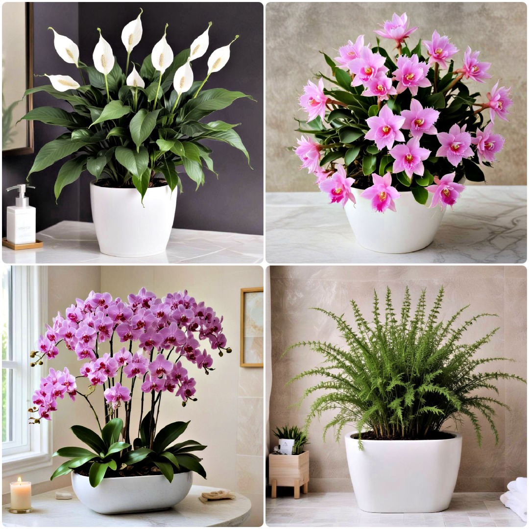 25 Best Plants for A Bathroom: Thrive in The Humidity